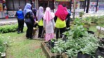2022-08-03_STEM Learning Module for Minggu Sains SK Felcra Nasaruddin, Bota
