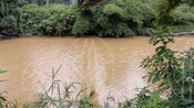 2026-07-13_River Water Quality and Sustainability at Kuala Sungai Rui