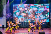 2026-06-13_FESCO Festival of Colours of the World