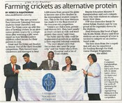 Farming crickets as alternative protein