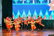 2026-06-13_FESCO Festival of Colours of the World