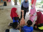 2022-08-03_STEM Learning Module for Minggu Sains SK Felcra Nasaruddin, Bota