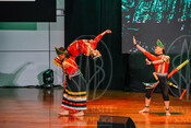 2026-06-13_FESCO Festival of Colours of the World