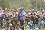 UTP Convoride