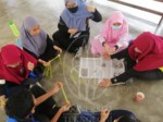 2022-08-03_STEM Learning Module for Minggu Sains SK Felcra Nasaruddin, Bota